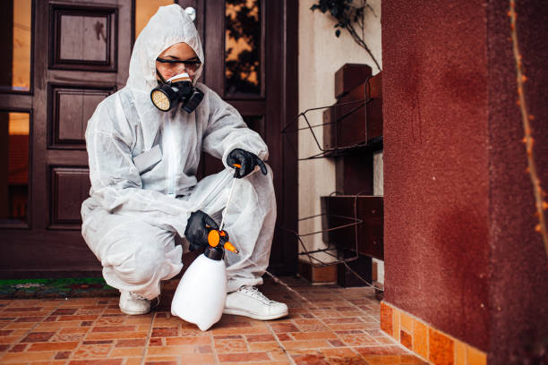 Reliable Wasp Removal contractor in Reynoldsville, PA by Show Me Pest Control